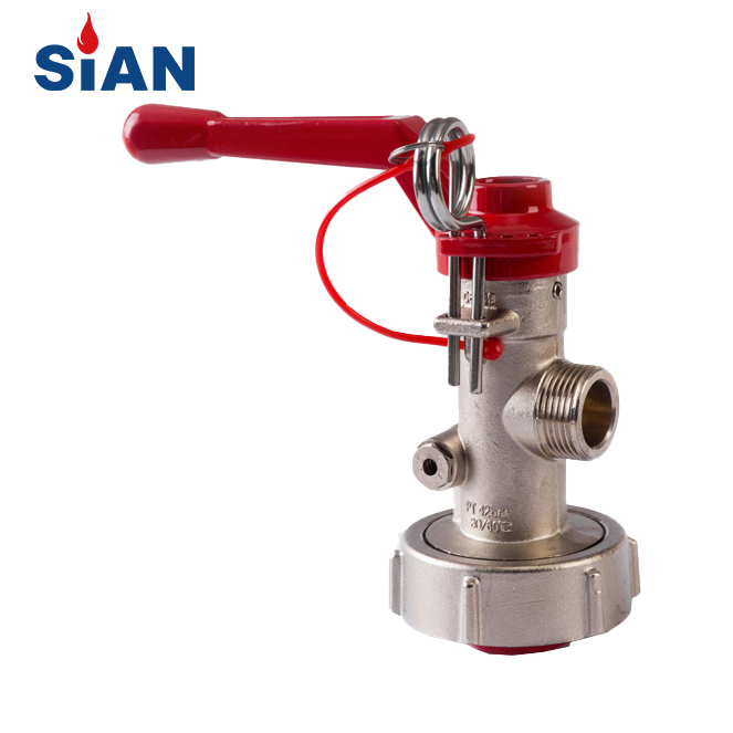 Valve d'extincteur avec la valve en laiton de marque de SiAN d'approbation de la CE pour l'extincteur sec de poudre